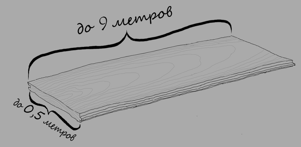 скетч фон.jpg